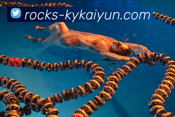 开云官方APP发展历程